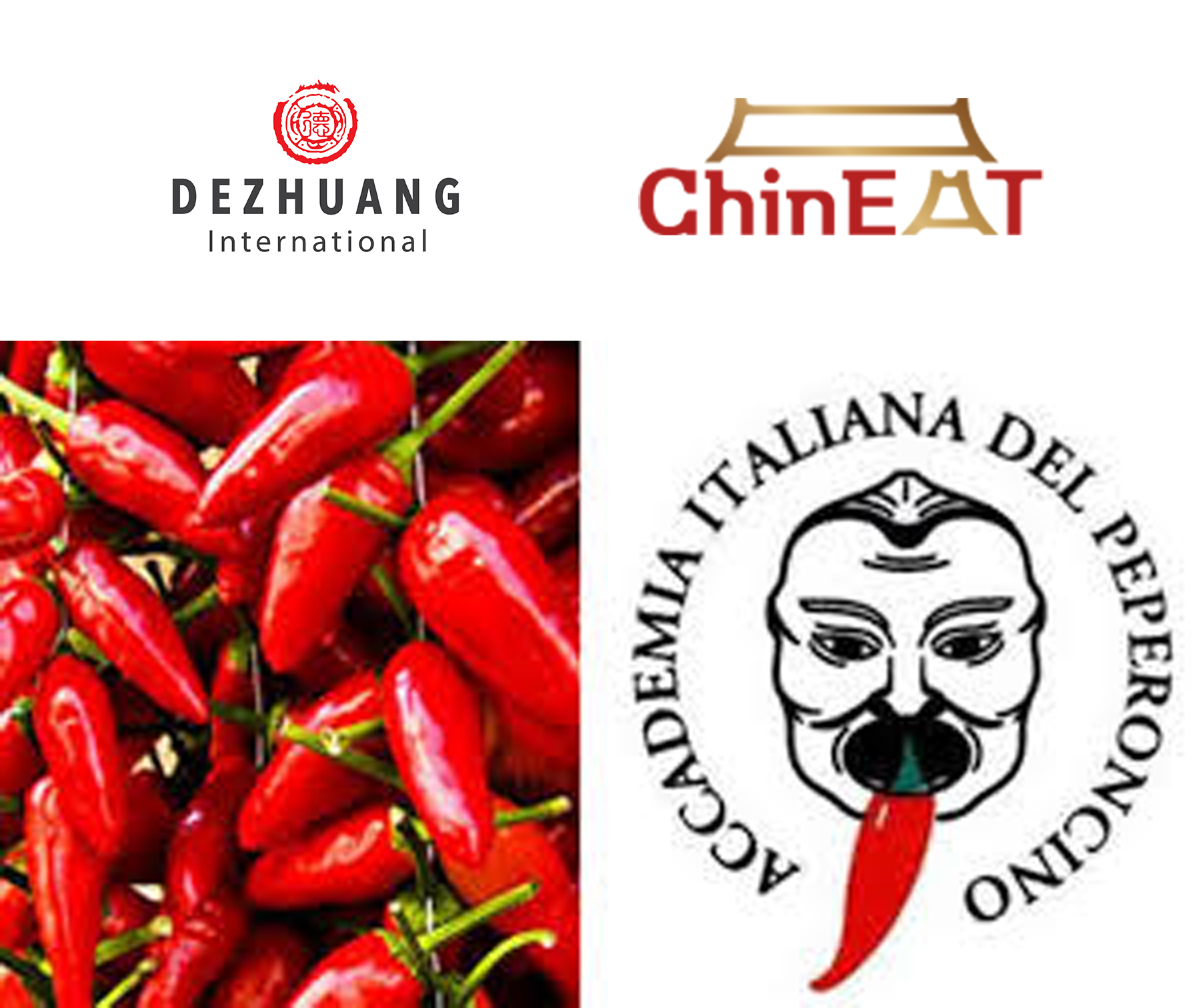 DeZhuang International Team at 25th Peperoncino Festival in Diamante